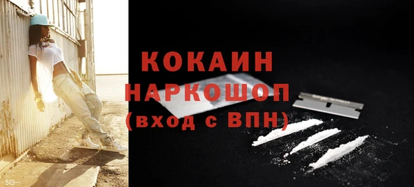 ПСИЛОЦИБИНОВЫЕ ГРИБЫ Валдай