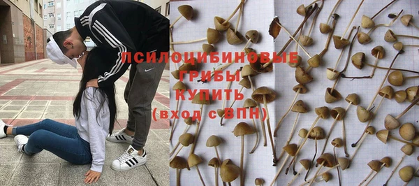 таблы Бутурлиновка