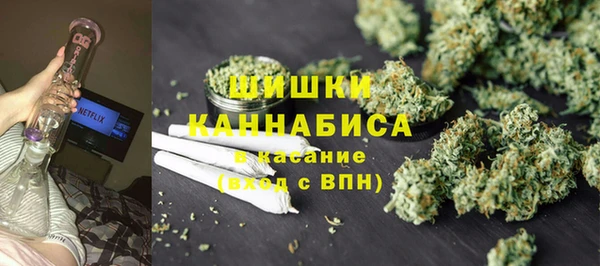 ПСИЛОЦИБИНОВЫЕ ГРИБЫ Валдай