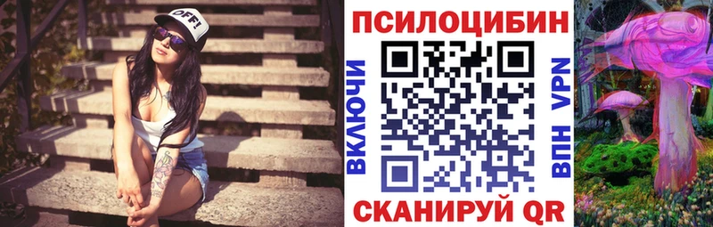 Галлюциногенные грибы Magic Shrooms  Камышлов 