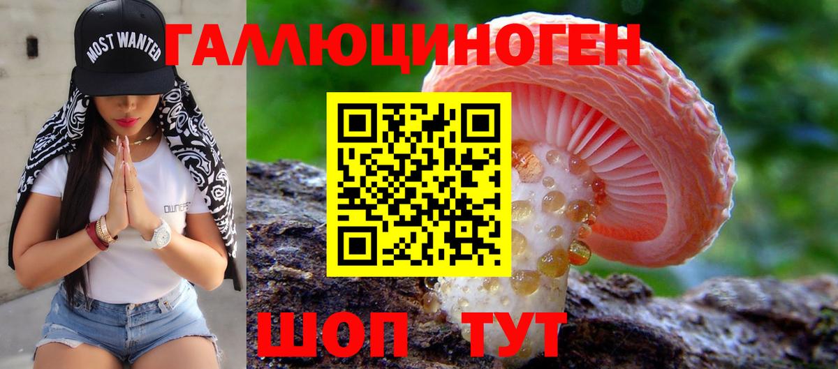 купить   Камышлов  Галлюциногенные грибы Cubensis 